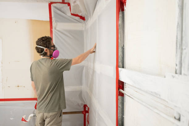 Environmental Consulting for Mold Prevention in Treasure Island, FL
